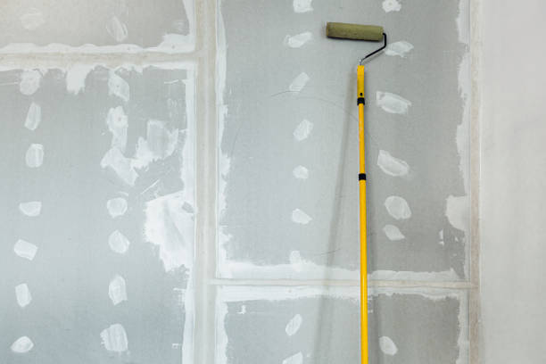 Best Post-Construction Mold Inspection  in Paradise Hills, NM
