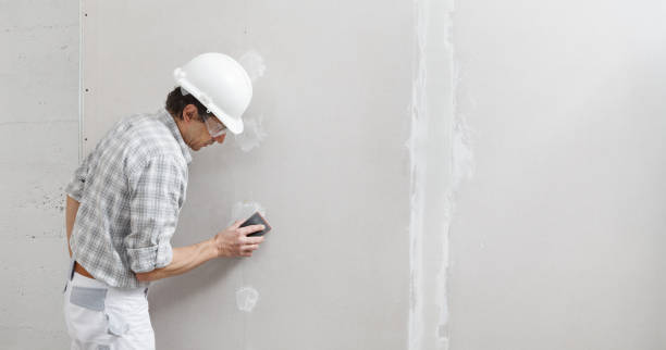 Best Mold Documentation for Insurance Claims  in Paradise Hills, NM