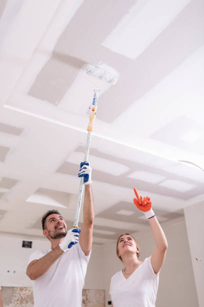 Best Mold Remediation for Rental Properties  in Paradise Hills, NM