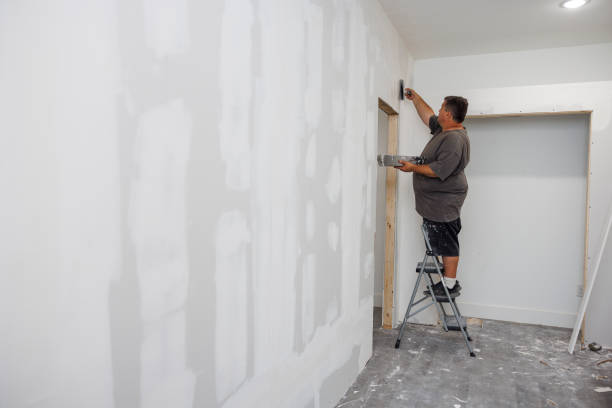 Paradise Hills, NM Mold Removal Company