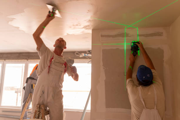 Best Water Damage & Mold Remediation  in Paradise Hills, NM