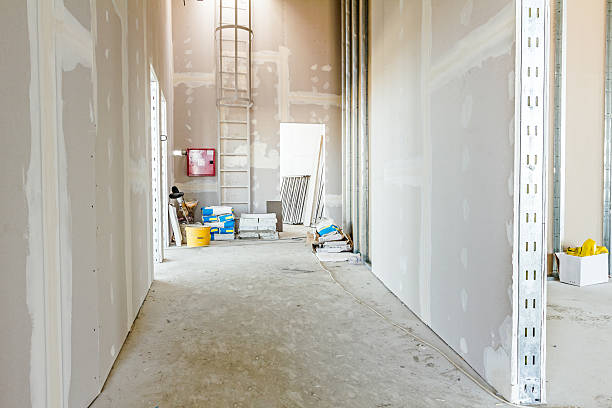 Best Mold Prevention Services  in Paradise Hills, NM