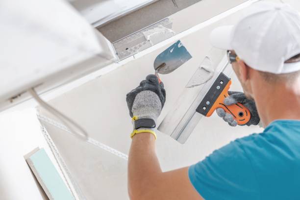 Best Crawl Space Mold Remediation  in Paradise Hills, NM